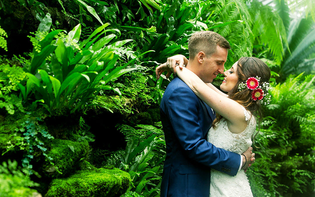 dawn e roscoe photography chicago garfield park conservatory wedding feat